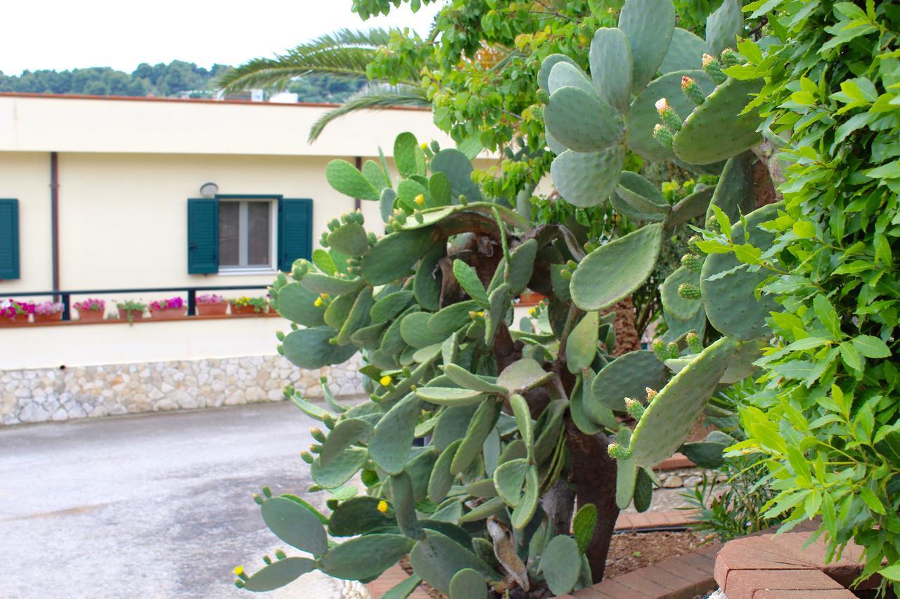 Villaggio Turistico Defensola 비에스테 외부 사진